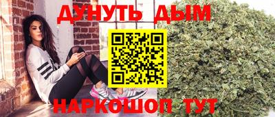 mdpv Можга