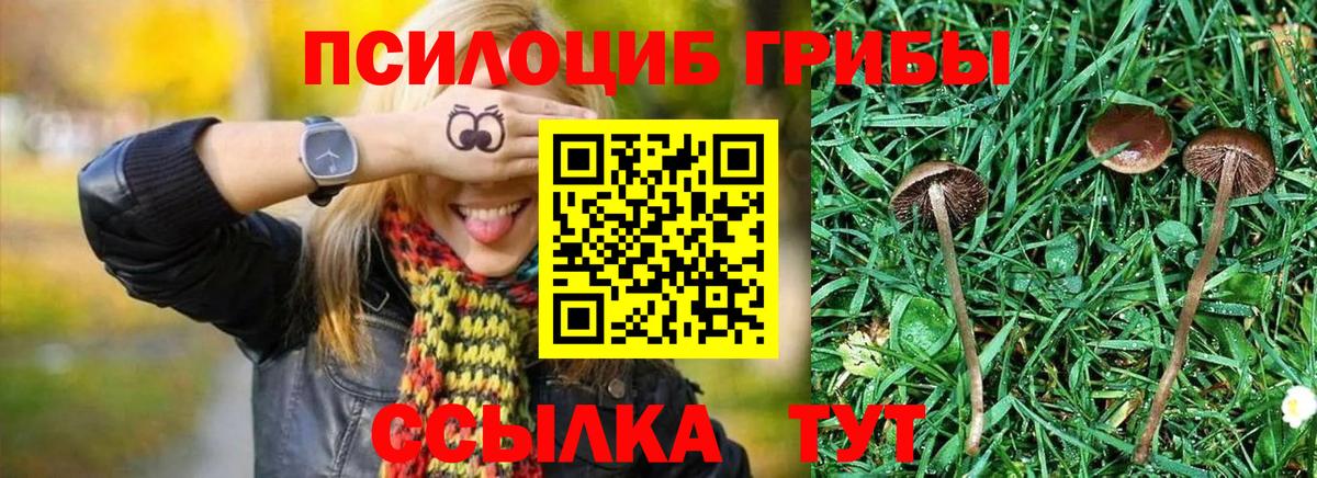 Галлюциногенные грибы GOLDEN TEACHER  Вход с VPN  купить наркотик  Воткинск 