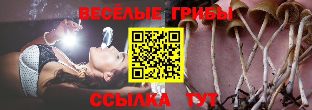 Псилоцибиновые грибы Magic Shrooms Воткинск